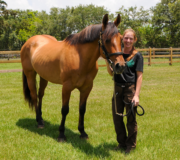 Horse Acquired for PBSO